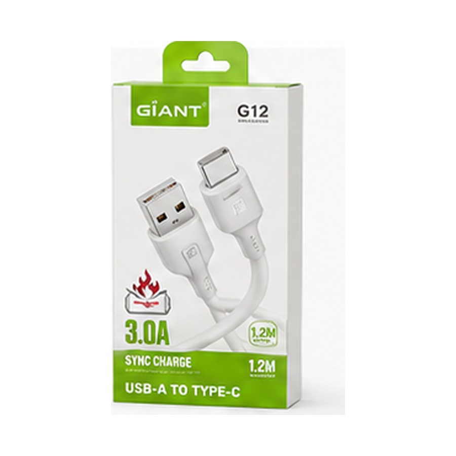 GIANT USB-A to Type-C Cable